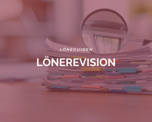 Löneguiden – Lönerevision
